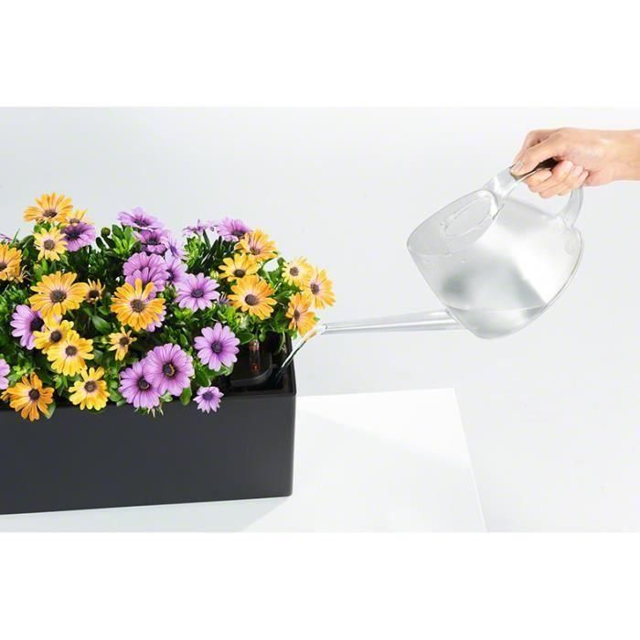 Lechuza LEC4008789156747 Kit de Plantación BALCONERA 50 Maceta Polipropileno Marrón para Interior y Exterior 2 Lechuza LEC4008789156747 Kit de Plantación BALCONERA 50 Maceta Polipropileno Marrón para Interior y Exterior 2