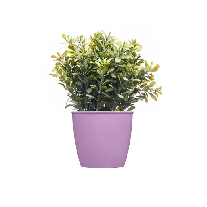 Maceta Redonda Academy Lux Stefanplast 11.3x10x11.3 cm, Verde/Blanco/Morado/Gris/Amarillo (60 Unidades) 3 Maceta Redonda Academy Lux Stefanplast 11.3x10x11.3 cm, Verde/Blanco/Morado/Gris/Amarillo (60 Unidades) 3