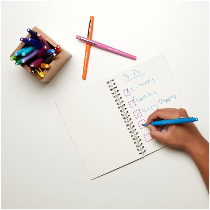 PAPER MATE Faserschreiber Flair M 0.7mm 16er Etui sortiert Blister 4