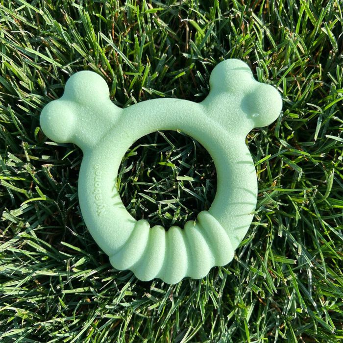 Mordedor de perro Nylabone SENSORY TACTILE RING Verde Manteca de cacahuete Pollo S 3