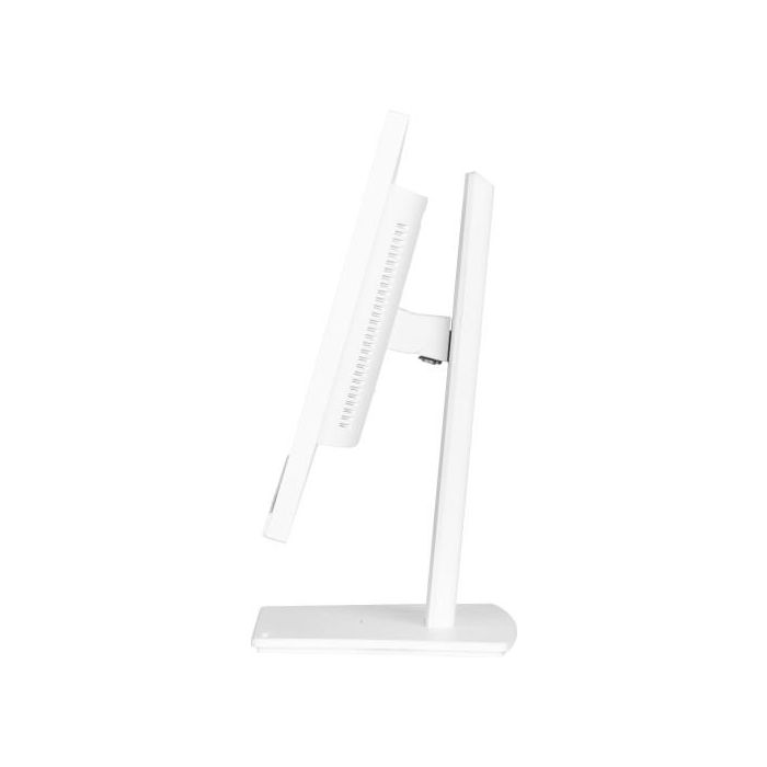 Iiyama ProLite XUB2497HSN-W2 Monitor 24" Full HD IPS, USB-C Dock, RJ45, Ajustable, Blanco 7 Iiyama ProLite XUB2497HSN-W2 Monitor 24" Full HD IPS, USB-C Dock, RJ45, Ajustable, Blanco 7