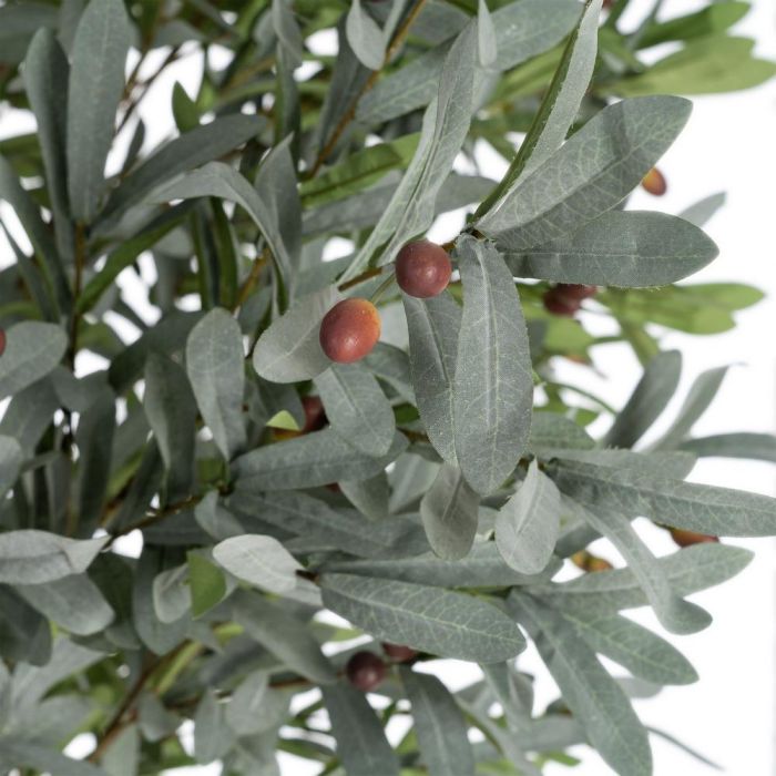 Planta Olivo Verde Poliester Decoración 130 X 240 cm