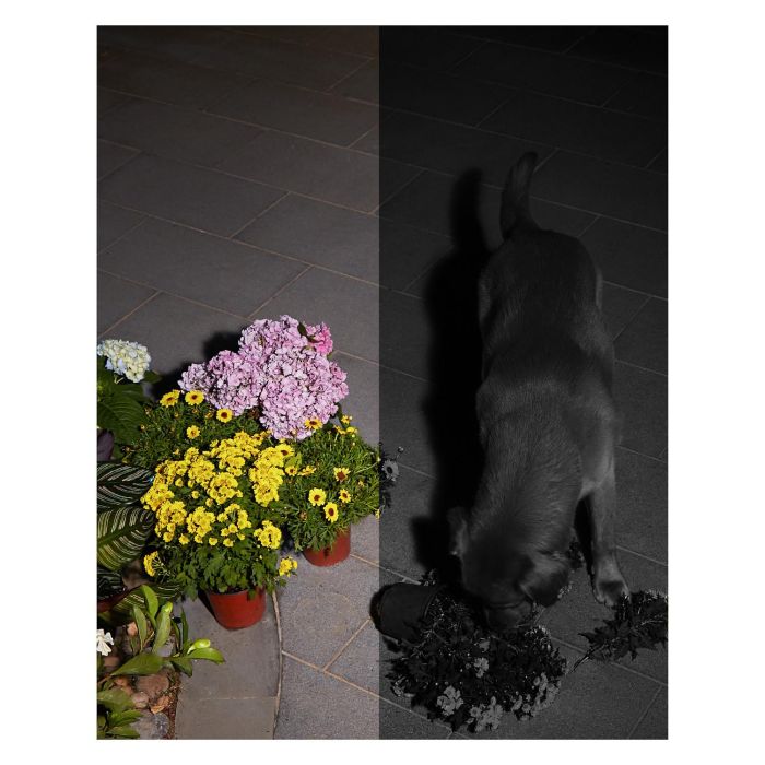 Videocámara de Vigilancia Eufy T81243W1 12