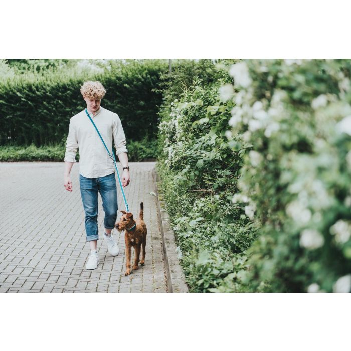 Hunter Correa Ajustable Hilo para Perros de 200 cm en Antracita, con Diseño Ligero de Malla 3D y Nylon Resistente, Mosquetón Fácil de Ajustar 1