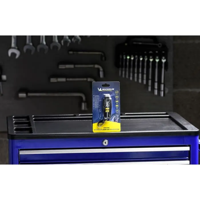 Michelin 9525 Controlador de Presión Digital de 0,05 bares a 7 bares Precisión 0,05 bares 2