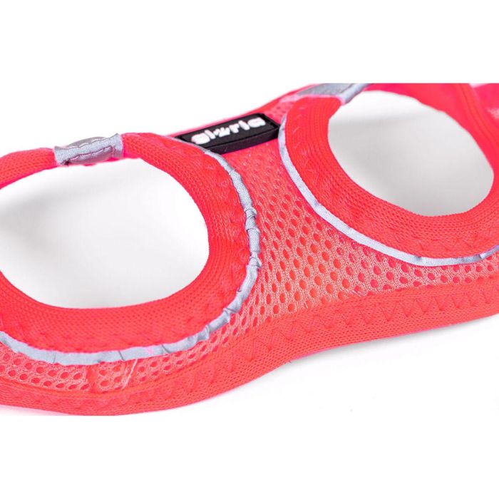 Arnés-Vestido Air Mesh Trek Star Rosa XS 27-28 cm 3 Arnés-Vestido Air Mesh Trek Star Rosa XS 27-28 cm 3