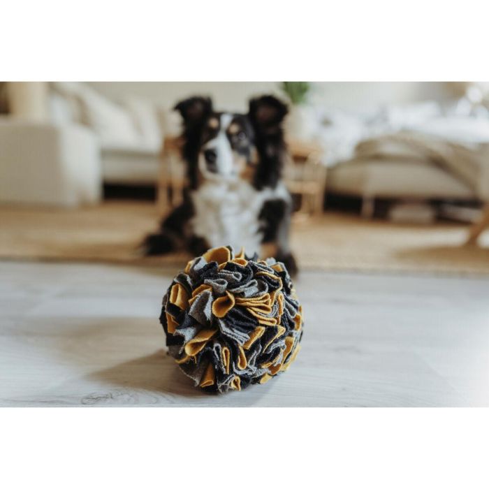 Hunter Eiby Bola Juguete Olfativo para Perros, 5 cm, Poliéster y Lana Reciclada, Sostenible 2 Hunter Eiby Bola Juguete Olfativo para Perros, 5 cm, Poliéster y Lana Reciclada, Sostenible 2