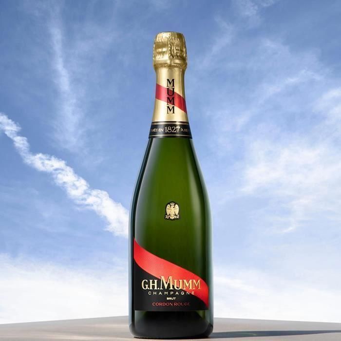 Champagne brut 37,5 cl GH Mumm 5