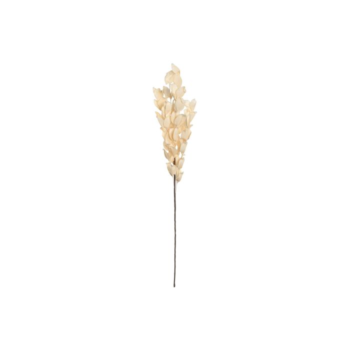 Rama DKD Home Decor Beige 10 x 107 x 18 cm (6 Unidades) Rama DKD Home Decor Beige 10 x 107 x 18 cm (6 Unidades)