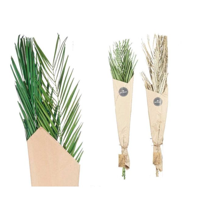 Ramillete Hojas Palmera Surt Verde y Natural Giftdecor 20x100x4 cm (20 Unidades) 2 Ramillete Hojas Palmera Surt Verde y Natural Giftdecor 20x100x4 cm (20 Unidades) 2