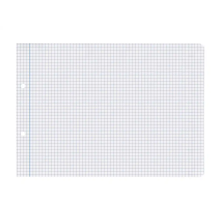 Liderpapel Recambio Cuadernos A5 Apaisado, 100 Hojas Cuadrícula 4 mm, Papel 75 g, 2 Taladros con Margen