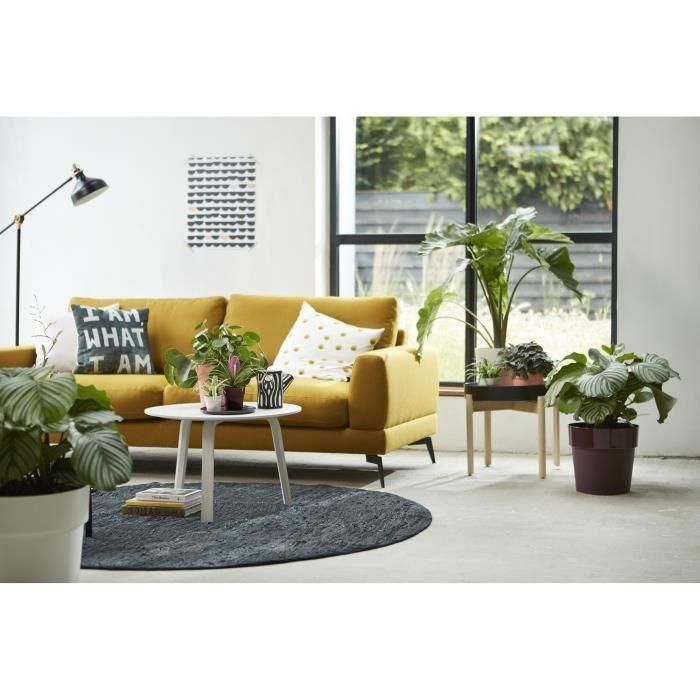 Elho B.for Original Round 30 Maceta Redonda Ocre para Plantas de Interior Ø29.5cm, 13.1L Polipropileno 5