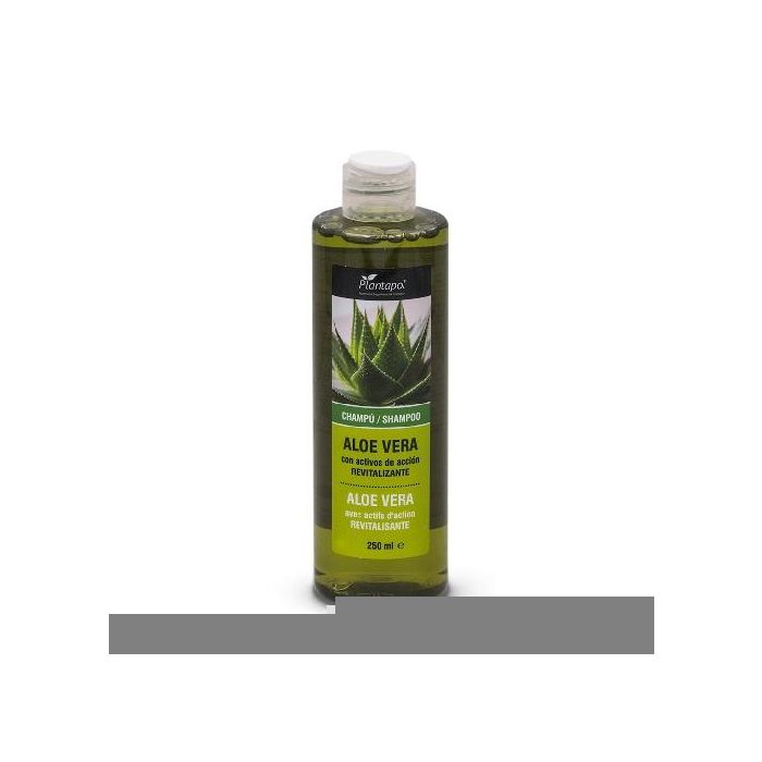 Champú Revitalizante Aloe Vera