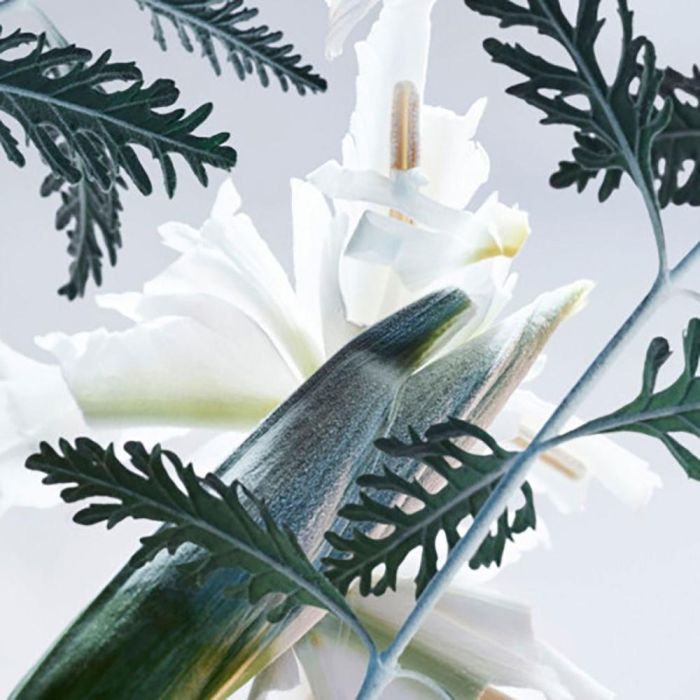 Bvlgari MAN GLACIAL ESSENCE Eau de Parfum Vaporizador para Hombre 60 ml 3