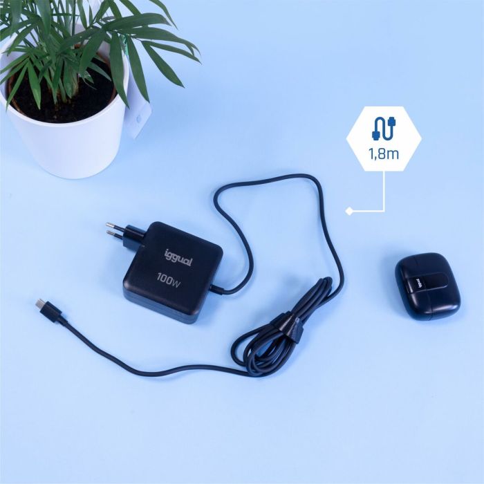 Cargador para Portátil iggual IGG319918 100 W 8