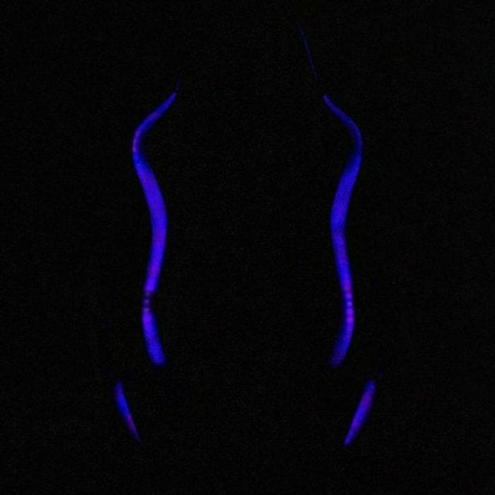 Silla Gaming Woxter GM26-068 Negro RGB 6