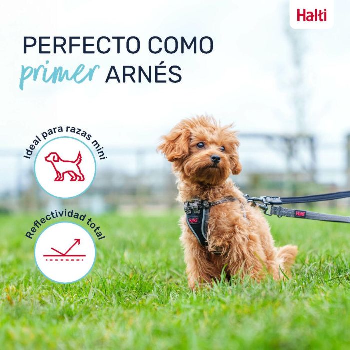 Halti Anatomy Arnés Cachorro Gris XS Cuerpo 28-44 cm 2 Halti Anatomy Arnés Cachorro Gris XS Cuerpo 28-44 cm 2