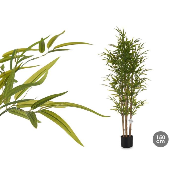 Planta con Maceta de Bambú Mediano 150 cm - Ibergarden Planta con Maceta de Bambú Mediano 150 cm - Ibergarden