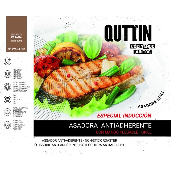 Asadora plegable de bakelita Quttin 36x26x4 cm (6 Unidades) 2 Asadora plegable de bakelita Quttin 36x26x4 cm (6 Unidades) 2