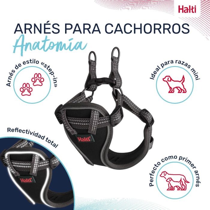 Halti Arnés Anatomy para Cachorro y Perro Pequeño Ajustable Reflector Talla XXS Cuerpo 21-30cm Cuello 22-30cm Gris 4