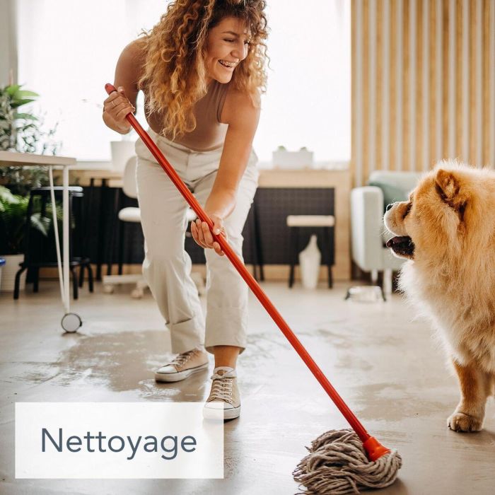 Saniterpen SAN3519220048626 Sanifresh Limpiador Desinfectante 1L 2