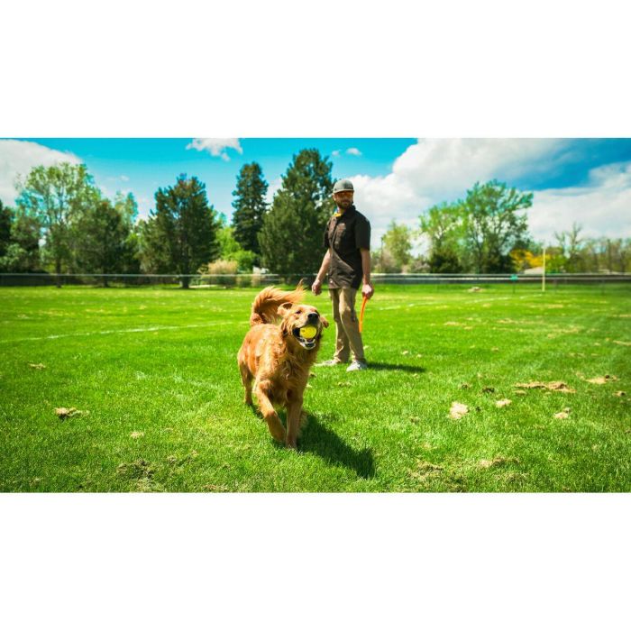 FLINGERZ Pelota de Juguete para Perro con Lanzador Universal - Goma Resistente, Rellenable con Snacks, Silbante, Flotante, Lanzamiento Largo 2 FLINGERZ Pelota de Juguete para Perro con Lanzador Universal - Goma Resistente, Rellenable con Snacks, Silbante, Flotante, Lanzamiento Largo 2