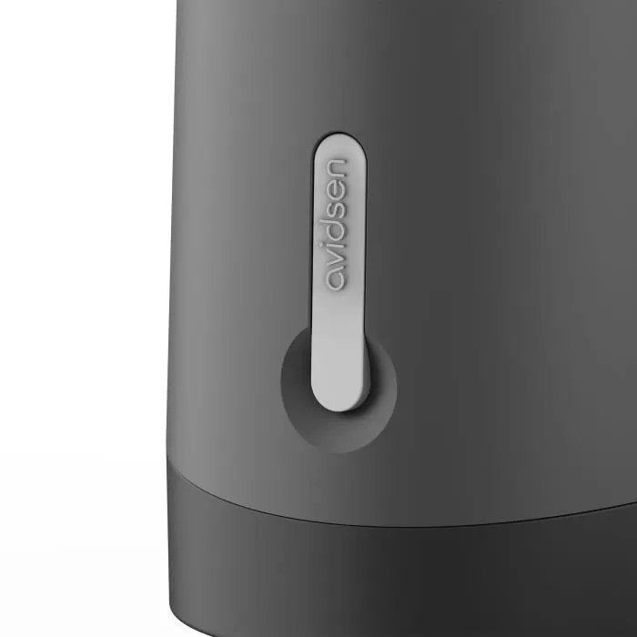 Avidsen 114202 Motorización conectada con brazos articulados para cancelas batientes - 500 kg y 5 m 1