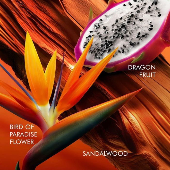 Escada BALI PARADISE Eau de Toilette Vapo 100 ml para Mujer 5