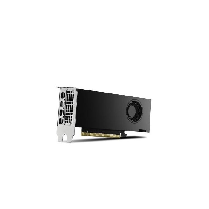 Pny Rtx2000 Ada Nvidia Rtx 2000 Ada 16 Gb Gddr6 2 Pny Rtx2000 Ada Nvidia Rtx 2000 Ada 16 Gb Gddr6 2
