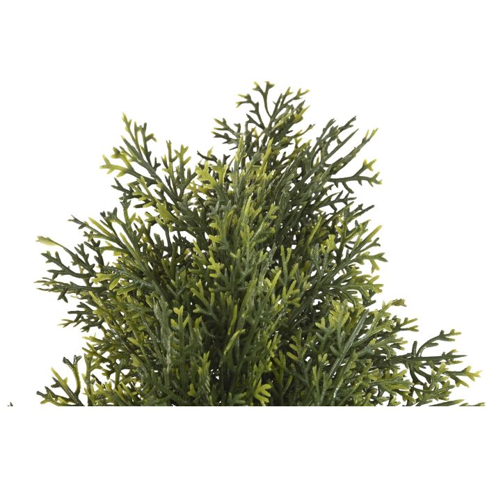 Planta DKD Home Decor Verde 40 x 120 x 40 cm (2 Unidades) 1 Planta DKD Home Decor Verde 40 x 120 x 40 cm (2 Unidades) 1