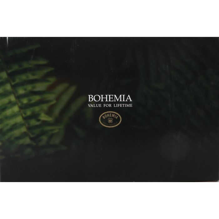 Bohemia Set de 6 Copas Gran Vino Clara 650 cc - Colección Clara (4 Cajas) 4