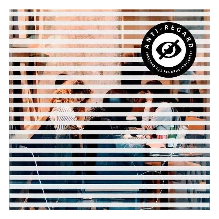 Easy Protec AUC3700613393588 Película Adhesiva para Ventanas Persiana Veneciana 100 x 90 cm 3