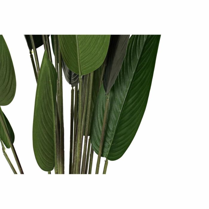 Planta Decorativa DKD Home Decor 50 x 50 x 160 cm Polietileno Verde Ave del paraíso Urbano 2 Planta Decorativa DKD Home Decor 50 x 50 x 160 cm Polietileno Verde Ave del paraíso Urbano 2