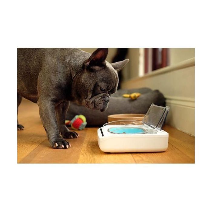 SUREFLAP Dispensador automático de alimentos - recipiente hermético SureFeed - para gatos y perros pequeños 3 SUREFLAP Dispensador automático de alimentos - recipiente hermético SureFeed - para gatos y perros pequeños 3