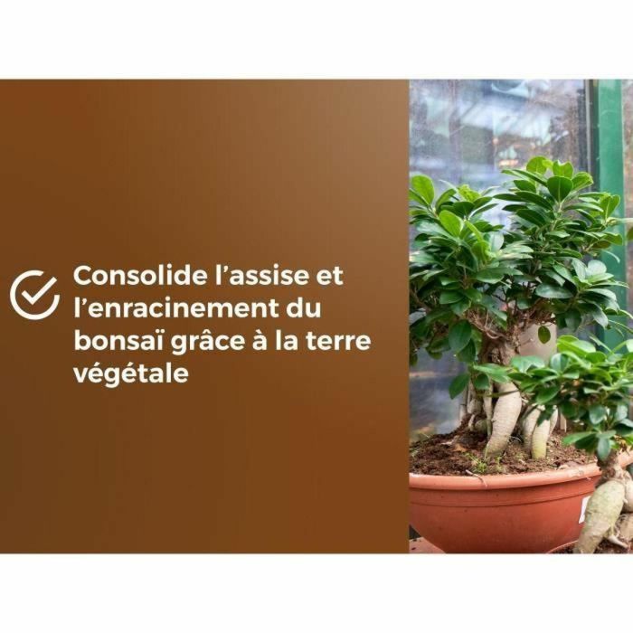 Tierra para macetas OR BRUN BROWN GOLD 6 L 1