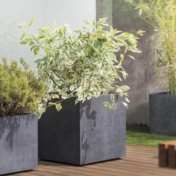 Deroma 9H834SZ Maceta Cubo Millennium R Antracita con Reserva de Agua y Ruedas 49 cm 2