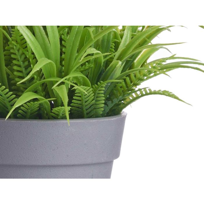 Maceta Flor Abierta Surtidos Ibergarden 14x21x14cm (24 Unidades) 3 Maceta Flor Abierta Surtidos Ibergarden 14x21x14cm (24 Unidades) 3