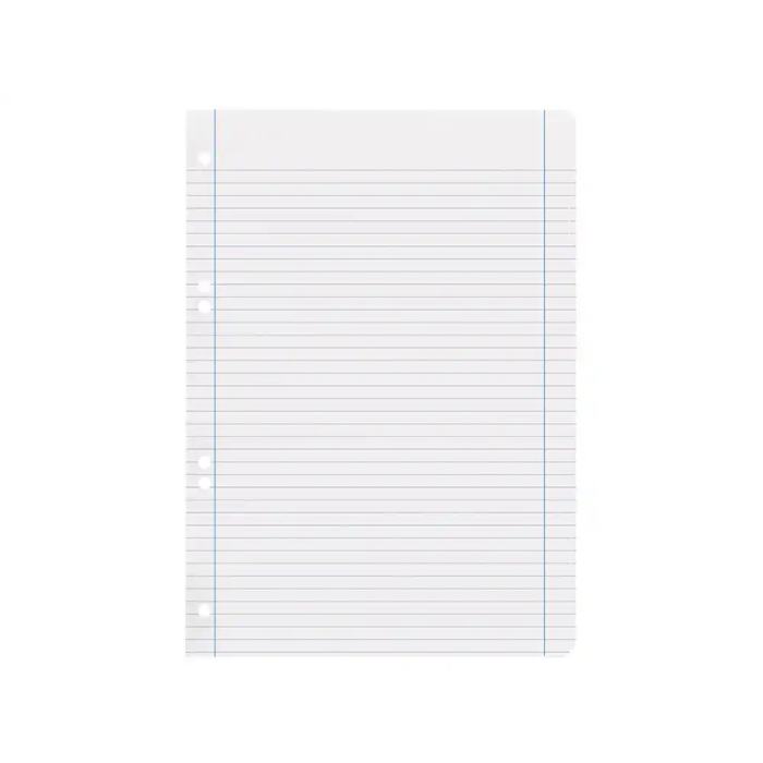 Liderpapel Recambio A5 100 Hojas 100gr Horizontal Doble Margen 6 Taladros 5