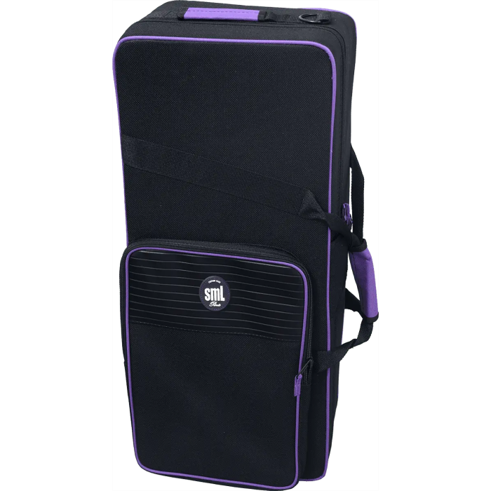 SML Saxofón Alto A420-II Dorado Lacado 2