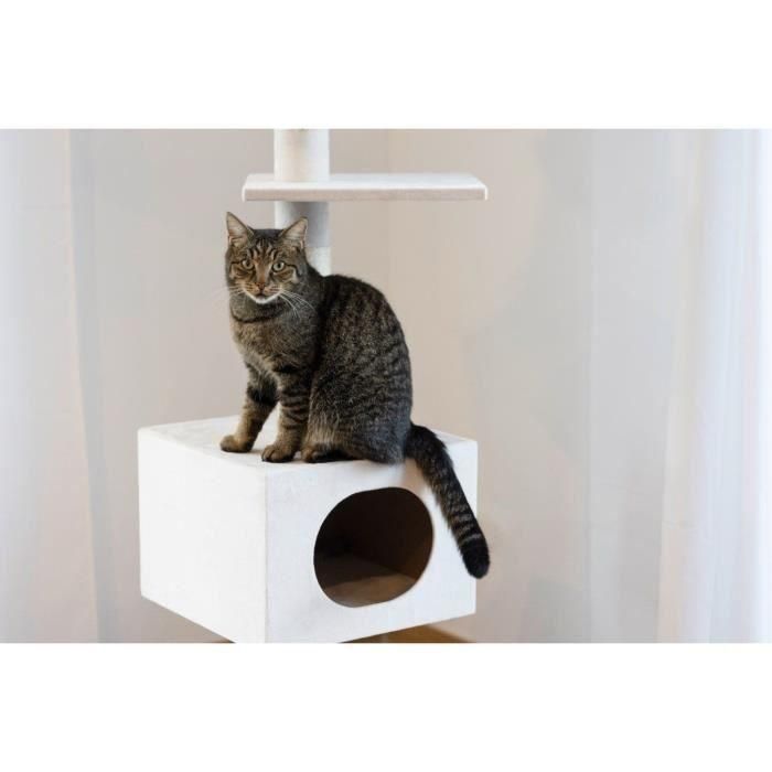 KERBL - Árbol para gatos FERDI - 38 x 38 x 240 a 260 cm - Blanco - Sisal 4 KERBL - Árbol para gatos FERDI - 38 x 38 x 240 a 260 cm - Blanco - Sisal 4