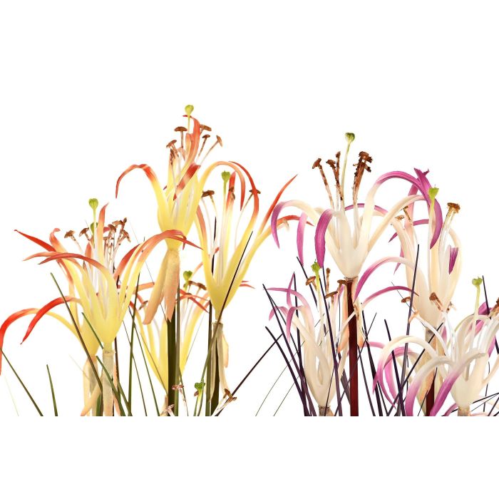 DKD Home Decor Planta Lirio Araña Naranja Burdeos 25 x 88 x 25 cm (2 Unidades) 1 DKD Home Decor Planta Lirio Araña Naranja Burdeos 25 x 88 x 25 cm (2 Unidades) 1