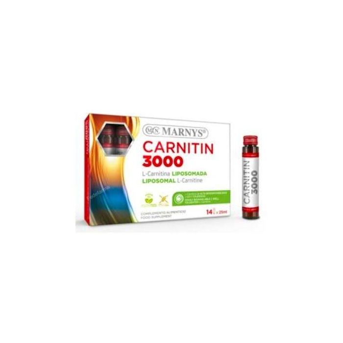 Carnitin 3000