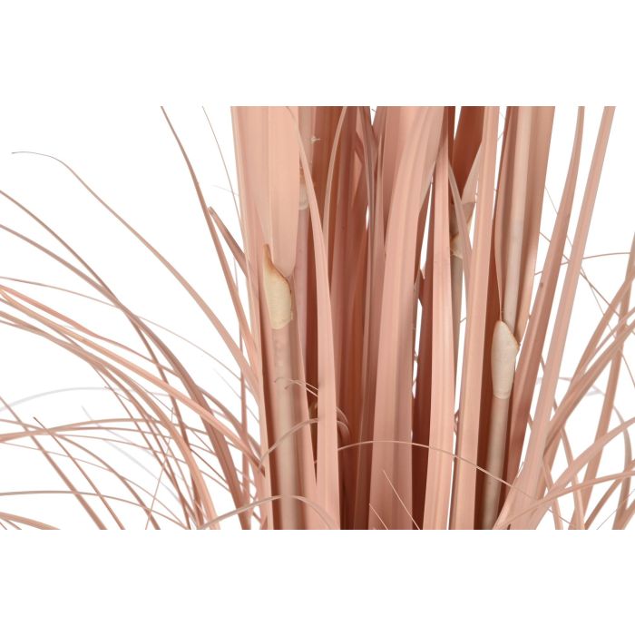 DKD Home Decor Planta Coral Negro 35 x 120 x 35 cm (2 Unidades) 2