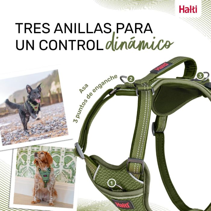 Halti Arnés Perro Anatomy Verde XL Cuerpo 78-115cm Cuello 50-78cm Acolchado Neopreno, Ajustable, Reflectante, 3 Enganches, Asa 1