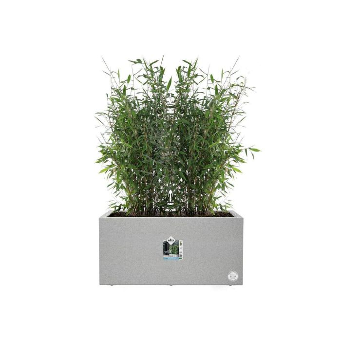 Elho ELH8711904499648 Jardinera Vivo Next Long 60 Gris L 59 x B 30 x H 29 cm Interior/Exterior 100% Reciclado 6
