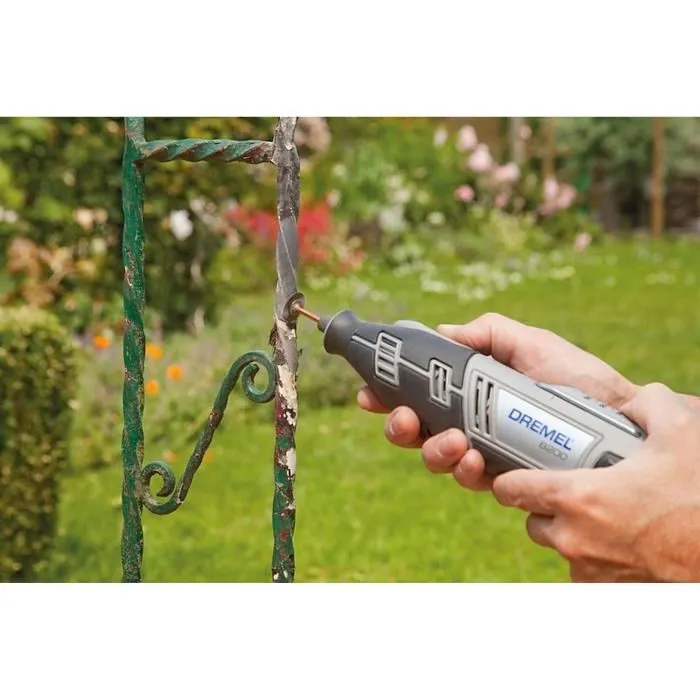 Dremel 684 Kit de limpieza y pulido de 20 piezas con estuche y bandeja extraíble 3