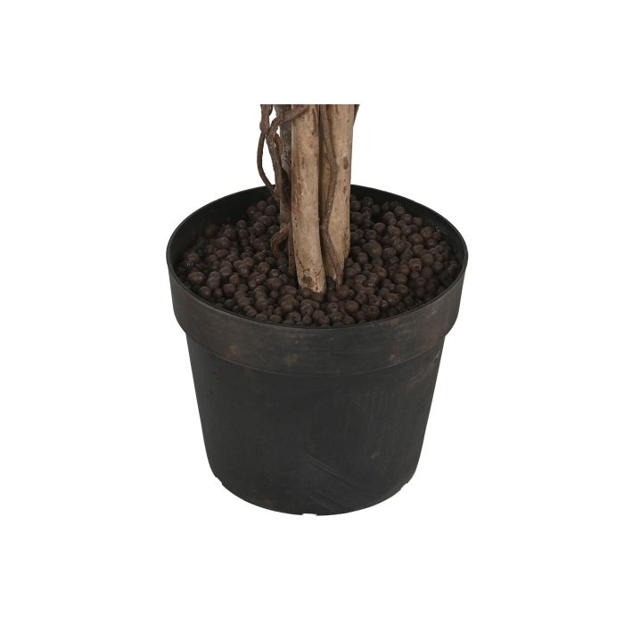 Árbol Home ESPRIT Polietileno Ficus 100 x 100 x 210 cm 2