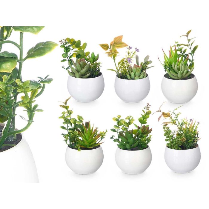 Ibergarden Maceta Redonda Plástico Blanca 8x16x8 cm (24 Unidades) Ibergarden Maceta Redonda Plástico Blanca 8x16x8 cm (24 Unidades)