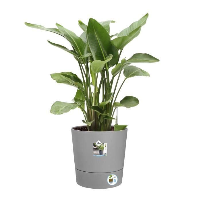 ELHO - Maceta - Greensense Aqua Care Round 43 - Cemento claro - Interior/exterior - Ø 43 x H 42,5 cm 2 ELHO - Maceta - Greensense Aqua Care Round 43 - Cemento claro - Interior/exterior - Ø 43 x H 42,5 cm 2
