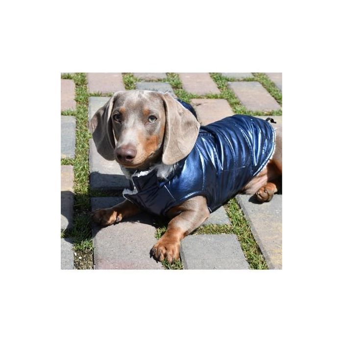 Nayeco Chaqueta Con Capucha Planet Azul 45 cm 2 Nayeco Chaqueta Con Capucha Planet Azul 45 cm 2